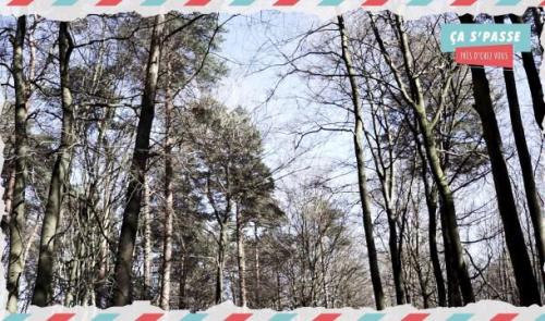 Ça s’passe près d’chez vous: Le Bois de la Vecquée 