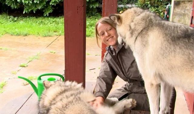 Pet Sitter, le gardiennage qui a du chien !