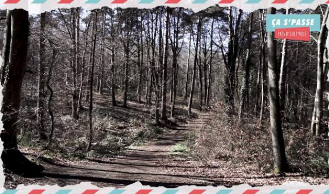 Ça s’passe près d’chez vous: L'arboretum