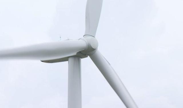 Vent: les parcs et les cimetières liégeois fermés ce lundi matin
