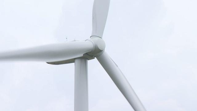 Vent: les parcs et les cimetières liégeois fermés ce lundi matin