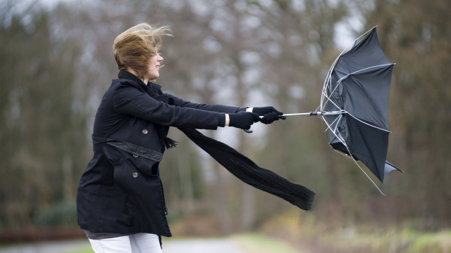 Avis de tempête pour la fin de journée 