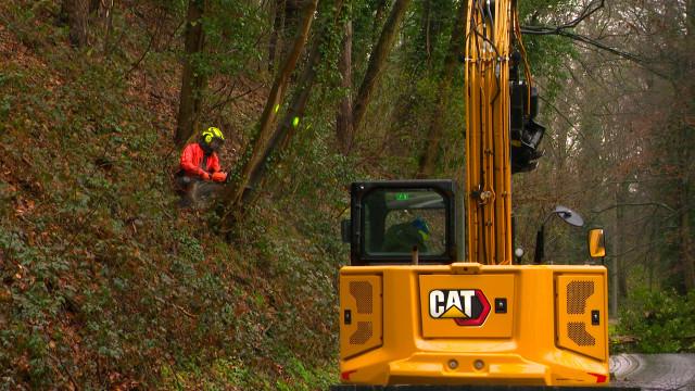 Le Thier de Richelle fermé 3 jours pour abattre des arbres