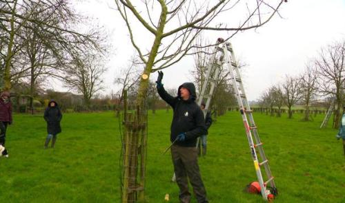 Une formation à la gestion des arbres fruitiers à Braives