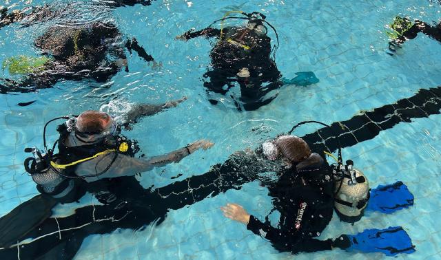 Les testeurs comme des poissons dans l'eau (4/5)