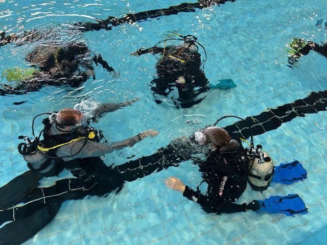 Les testeurs comme des poissons dans l'eau (4/5)