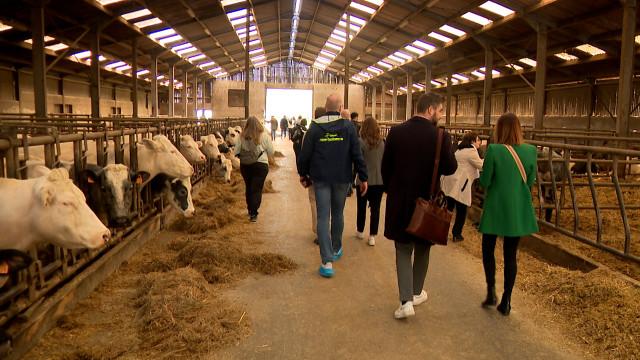 Visite des ministres européens de l'agriculture à Les Waleffes