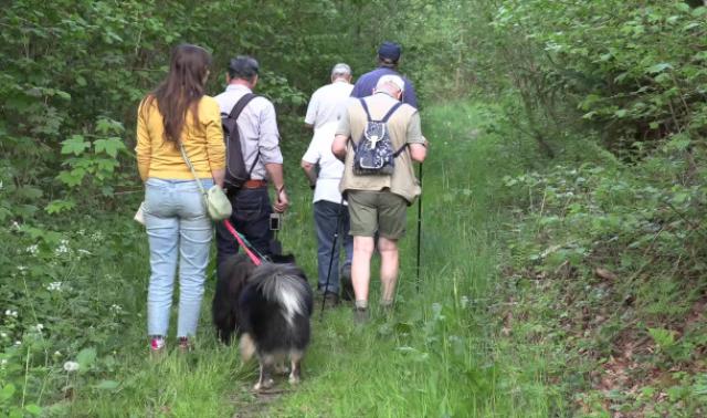 Plusieurs forêts et espaces verts fermés en Wallonie en raison des intempéries