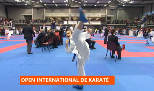 3ème open international de Karaté à Herstal