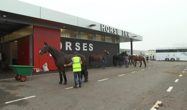 500 chevaux de haut niveau en transit à Liège Airport 