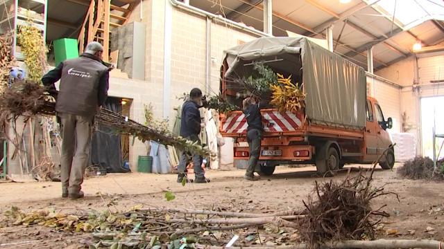 80.000 arbres sprimontois fournis à 50 communes
