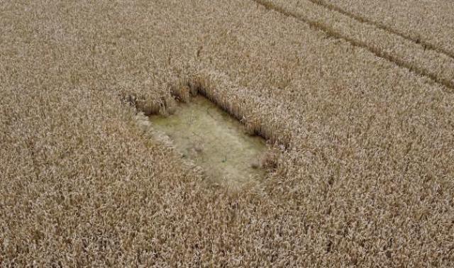 Le Parc Naturel Burdinale-Mehaigne s'adapte au changement climatique