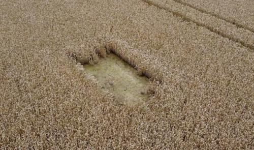 Le Parc Naturel Burdinale-Mehaigne s'adapte au changement climatique