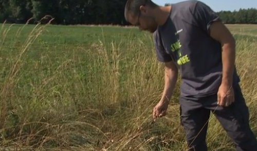 Anthisnes : restaurer le bocage pour la biodiversité 