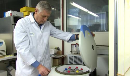 Antioxydants: passez de la science à l’assiette