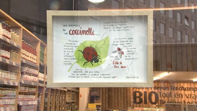 Les artistes s'exposent dans des lieux inédits
