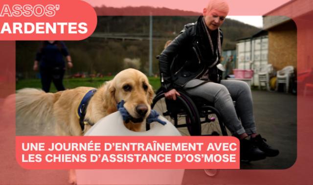 Assos' Ardentes : entraînement avec les chiens d'assistance d'Os'mose