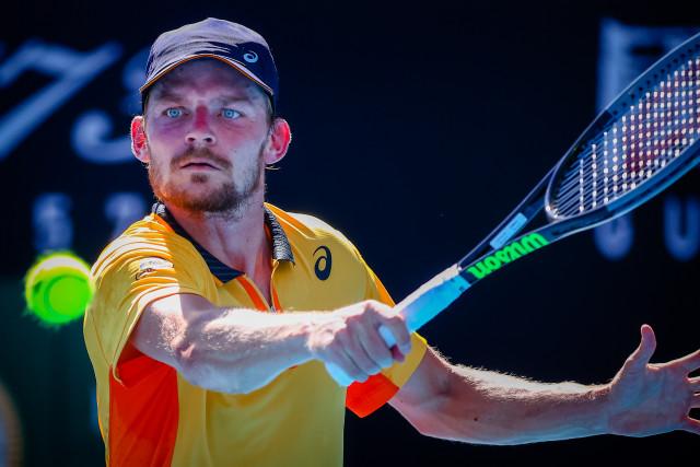ATP : David Goffin remonte à la 12ème place du classement mondial