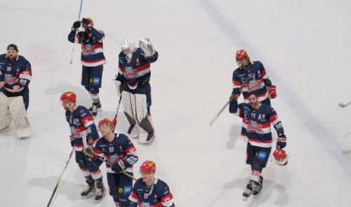 BeNe League: les Bulldogs filent dans le dernier carré !