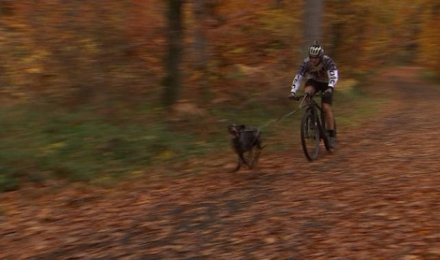 Bike-Joering : un Liégeois vice-champion du monde 