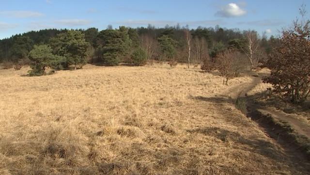 Bois-les-dames, bientôt une réserve naturelle