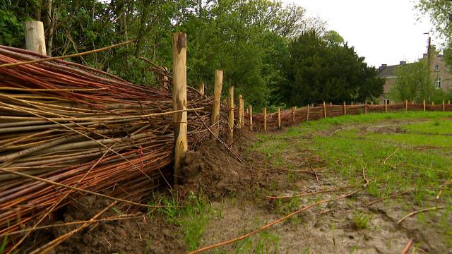 Braives: des fascines en saule contre les coulées de boue