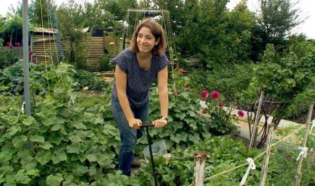 Bressoux : les jardins potagers du Logis social pollués 