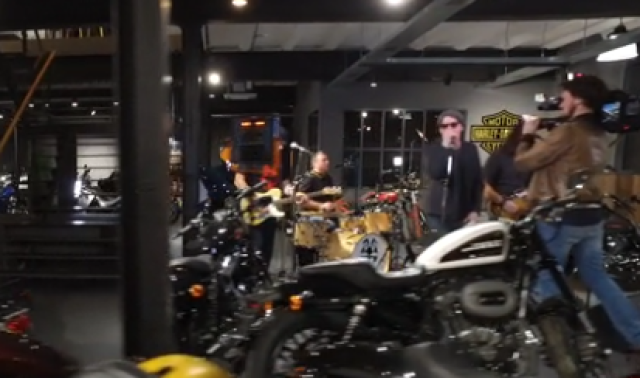 Ça part en Live: ThomC, Bubblebeer et Bunny Black Bones