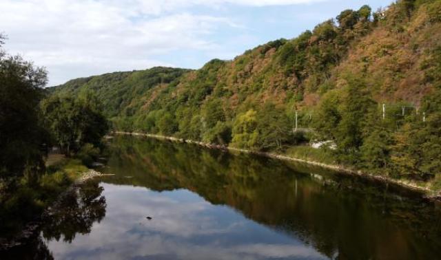 Changement climatique: Le DNF crée nos forêts de demain