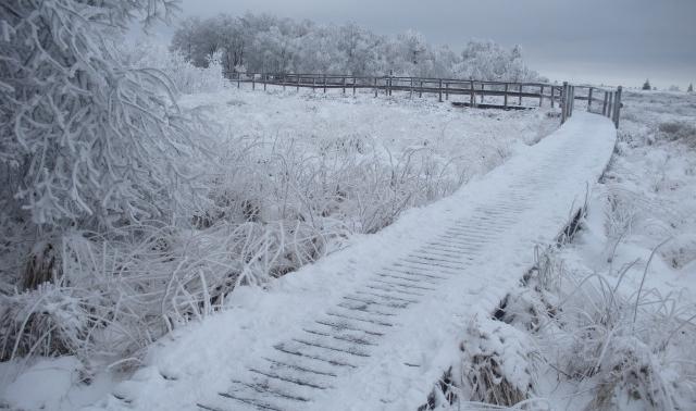 Circulation interdite sur le plateau des Fagnes de vendredi à dimanche 