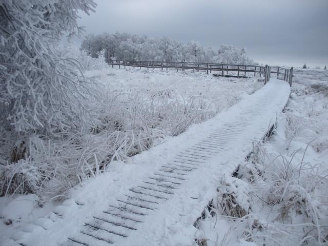 Circulation interdite sur le plateau des Fagnes de vendredi à dimanche 