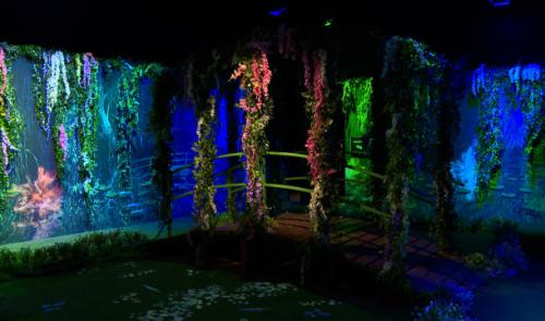Claude Monet: première expo immersive à l'Eglise Saint-Pholien