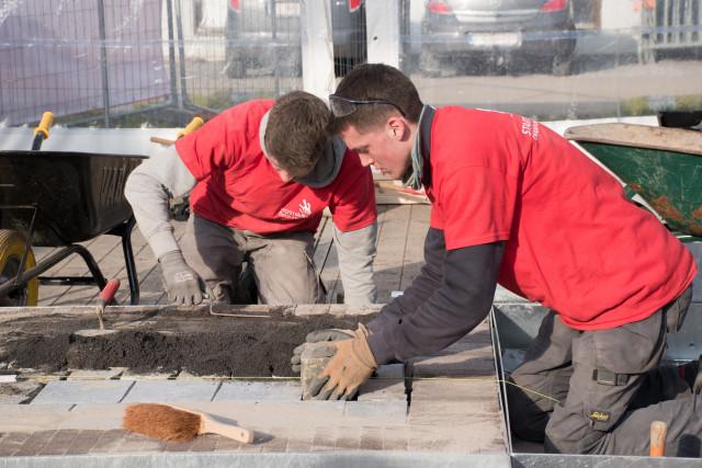 Concours du Meilleur jeune Jardinier 2019 aux Halles des Foires 