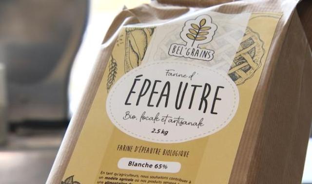 Coopérer pour combler le manque de farine