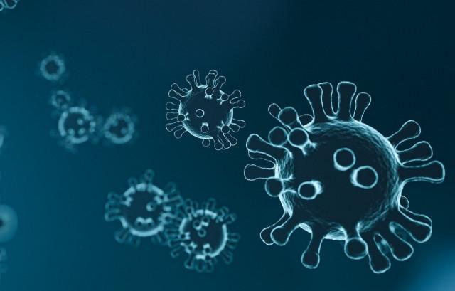 Coronavirus : le nombre de nouvelles infections augmente de 11%