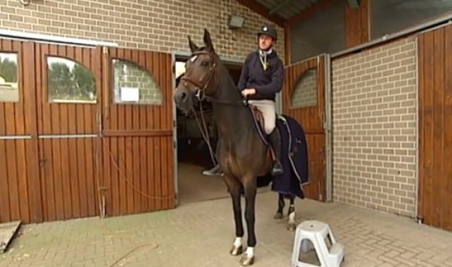 Coup dur pour  Grégory Wathelet : son cheval souffre d'une fracture