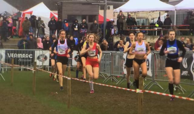 CrossCup de Hannut : nouveau tracé pour la 79e édition