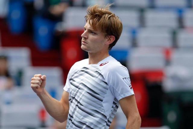 David Goffin battu à Washington