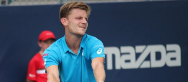 David Goffin reste 14 ème au classement ATP. Steve Darcis 119 ème