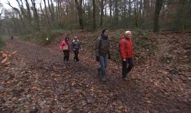 Découverte de la marche en forêt sérésienne