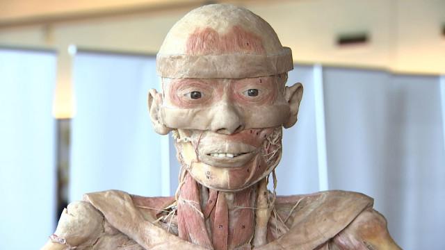 Des corps humains exposés à Liège 