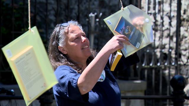 Des livres dans les arbres à Huy : « La place du livre » fête le format poche 