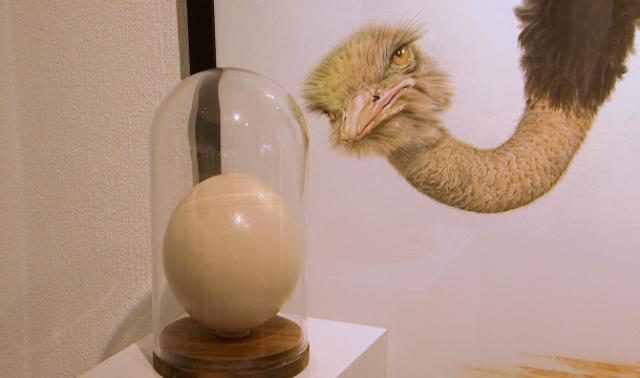 Des oeufs au profit de la recherche à la Galerie Liehrmann