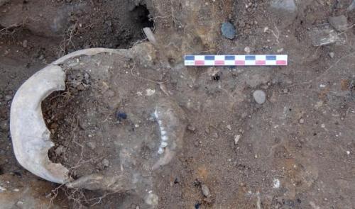 Des ossements d'enfant découverts au château de Moha