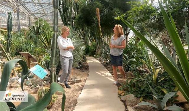 En Balade à l'Observatoire du Monde des Plantes 