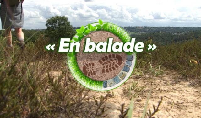 En balade : le street art à Liège avec l'opération Paliss'art 