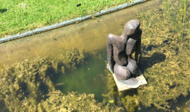 Expo : "Pas à Pas" à Adzeux