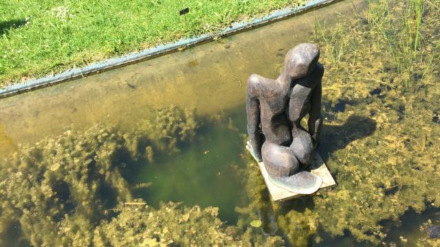Expo : "Pas à Pas" à Adzeux