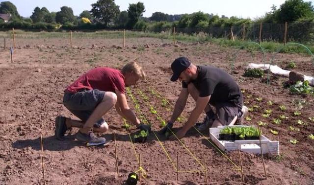 Faimes: "Les jardins du Chevalier" comme outil de réinsertion 