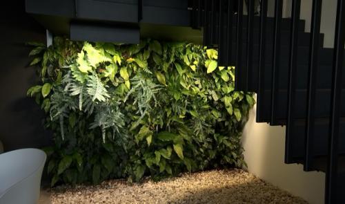 Faire entrer la nature dans les bâtiments 
